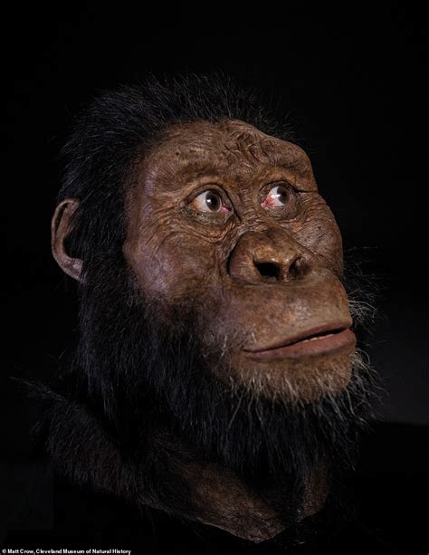 face   oldest direct human ancestor revealed daily mail