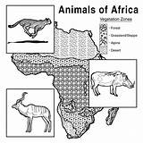 Coloring Africa Animals Pages African Habitat Vegetation Zone Chart Science Life Library Clipart sketch template