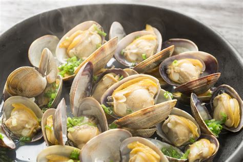clam distributors md buy clams wholesale fresh wholesale seafood