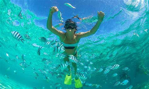 snorkeling  dubai top places prices operators holidify