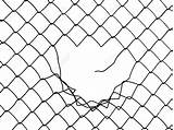 Fence Wire Chain Link Mesh Chainlink Drawing Hole Barbed Stock Tattoo Clipart Background Wired Metal Fencing Royalty Clip Drawings Large sketch template