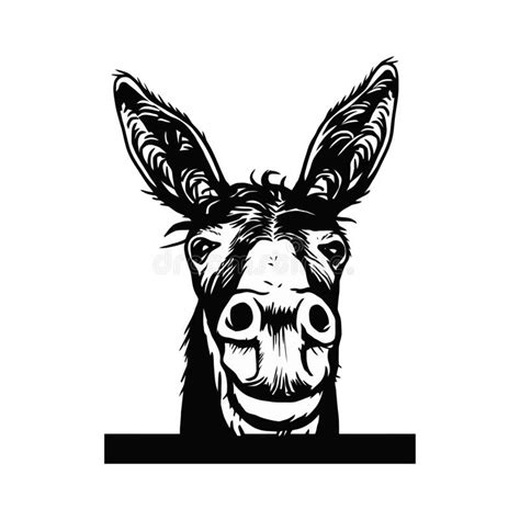 head donkey stock illustrations  head donkey stock illustrations