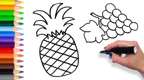 learn   draw fresh fruits teach drawing coloring page video