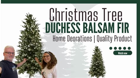 home decorators collection grand duchess balsam fir christmas tree   metal tree collar youtube