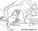 Kangaroo Outback Arid Breathtaking sketch template