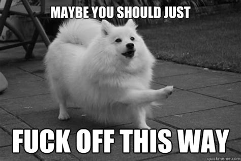maybe you should just fuck off this way japanese spitz quickmeme