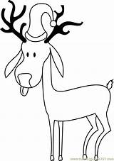 Reindeer Coloringpages101 sketch template