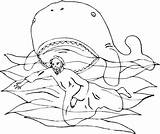 Jonah Whale Jonas Colorear Jona Wal Humpback Coloring4free Balena Giona Jonás Ausmalbild Prophet Disegno Profeta Baleia Supercoloring Malvorlage Biblica Moses sketch template