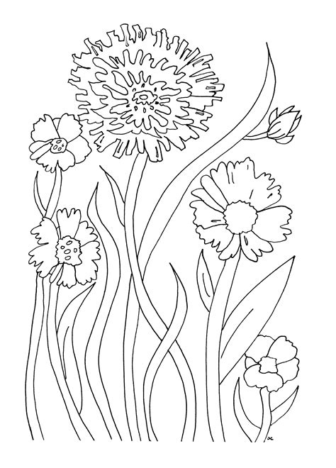flowers  vegetation coloring pages  adults printable flower