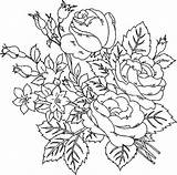 Coloring Roses Pages Rose Flower Adults Beautiful Printable Bush Flowers Color Sheets Print Adult Colors Drawings Clipart Kids Do sketch template