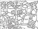 Forest Coloring Pages Tropical Kids sketch template