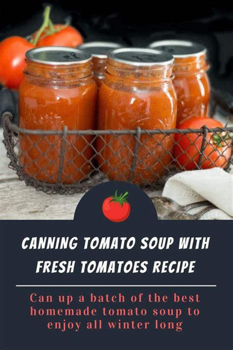 canning tomato soup  fresh tomatoes recipe recipe canning tomato soup tomato recipes