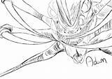 Subnautica Reap Sow sketch template