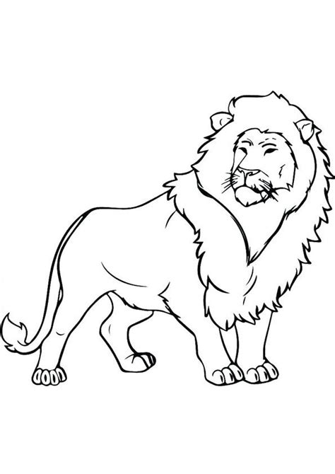 lion coloring page lion drawing lion drawing simple lion sketch