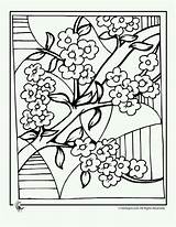 Blossom Colorat Primavara Chinois Blossoms Colorier Inflorit Copaci Infloriti Planse Ume Chine Cires Cerisier Coloriages Complexe Fleur Broderie Adultes Licorne sketch template