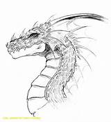 Dragon Bleistift Drachen Drache Dragons Drachenkopf Skizze Besuchen Drachenzeichnungen sketch template