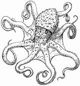 Octopus Psf 2185 2039 Marysrosaries sketch template