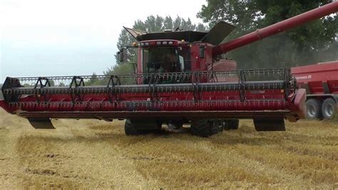 case ih  combine  tracks  foot header unloading wheat