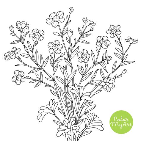 wildflower coloring page buttercups coloring sheet meadow etsy