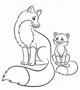Foxs sketch template