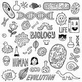 Biology Drawing Background Drawn Hand Doodles Drawings Draw Visit Inspired Doodle Science sketch template
