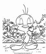Tweety Titti Dibujo Rosas Sylvester Comic Cartoni Looney Trickfilmfiguren Stampare Malvorlage sketch template