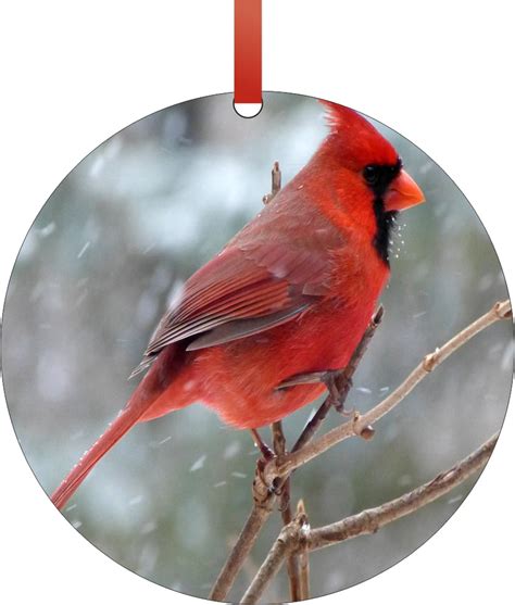 ornament cardinal red cardinal bird   snow  shaped flat semigloss aluminum