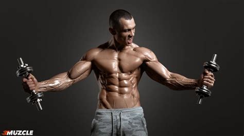 anabolic diet  complete guide  sample meal plan