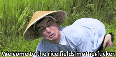 rice fields motherfucker filthy frank   meme