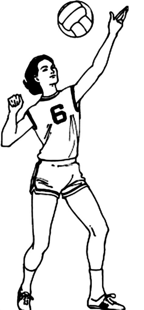 printable volleyball coloring pages  kids