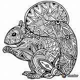 Zentangle Squirrel Ardilla Mosaico Boyama Hayvan Zentangles Imprime Desestresarte Colorea Prometo Va Nena Afficher Corgi sketch template