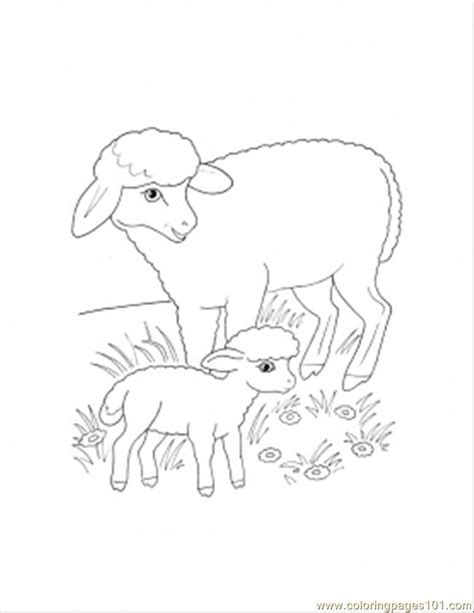 lamb coloring page printable