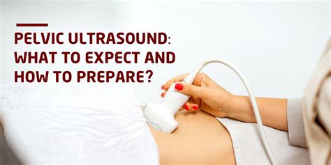 Pelvic Ultrasound What To Expect And How To Prepare Blog