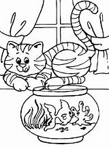 Katten Poezen Katze Poes Persoonlijke Maak Kleurplatenenzo Stimmen sketch template
