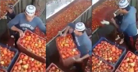 heinz panics after what workers were caught putting in ketchup video
