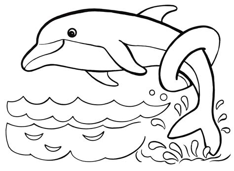 dolphins coloring pages  pictures  printable