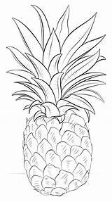 Pineapple Coloring Pages Kids Print Color sketch template
