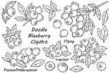 Branches Bilberry Frames Zweige Whortleberry sketch template