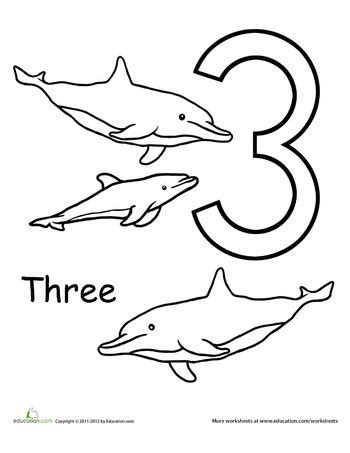 count  color  dolphins worksheet educationcom color