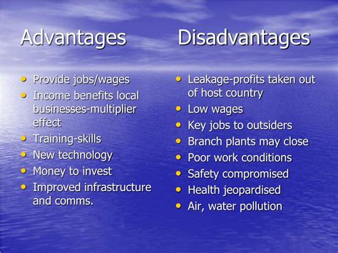 advantages  disadvantages  local government