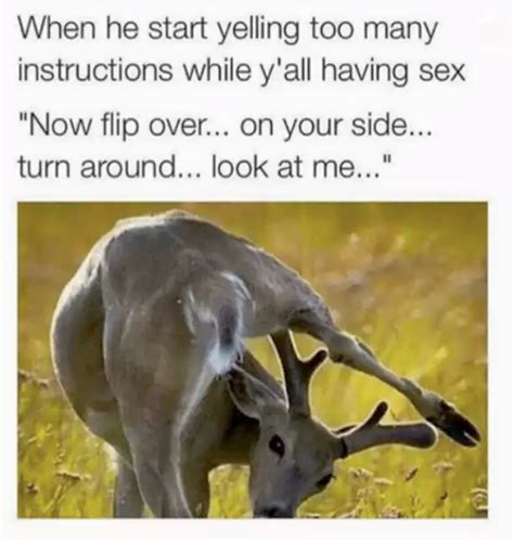 sex memes will help get you up this morning thechive