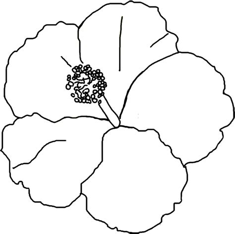 hibiscus flower printable printable blank world