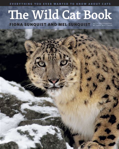 wild cat book    wanted    cats