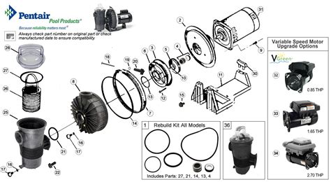 century pool motor parts diagram