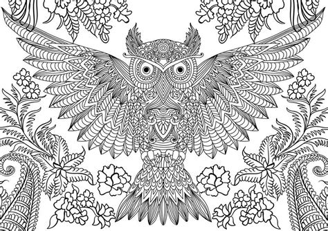 owl coloring pages  adults  detailed owl coloring pages owl