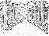 Coloring Pages Woods Forest Kids Camping Background Valentine Journal sketch template