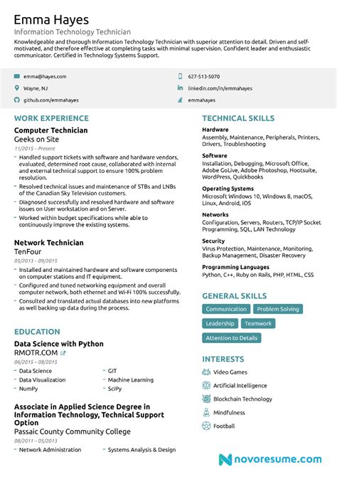 resume   guide    samples professional resume