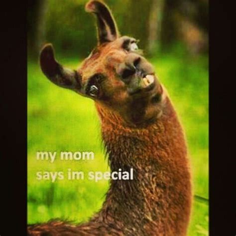 my mom says i m special funnies pinterest