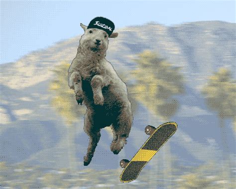 skateboarding sheep find and share on giphy