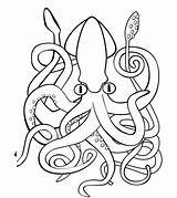 Lula Squid Gigante Colorironline Mollusks Categorias sketch template